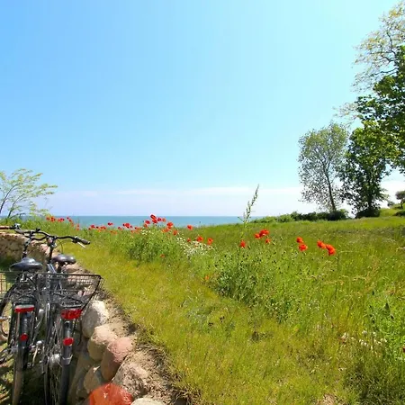 Strandresort Rex Rugia Ferienwohnung 11-7 Mit Sauna- Und Schwimmbadnutzung Im Ahoi Sellin Lejlighed *